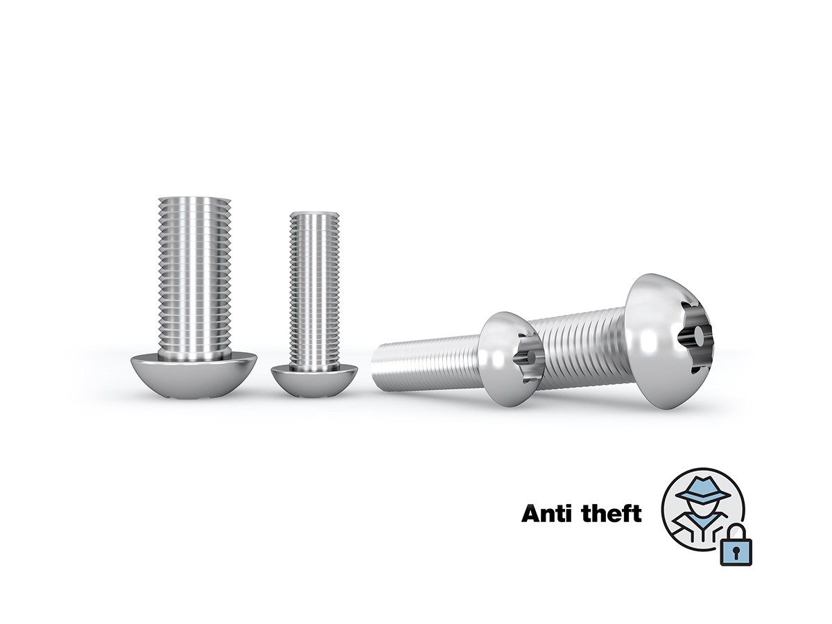 Multibrackets 7350105214325 M Pro Series - Safety Anti Theft Screws M5 M6