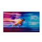 Philips X-Line 55BDL3305X/00 Videowall