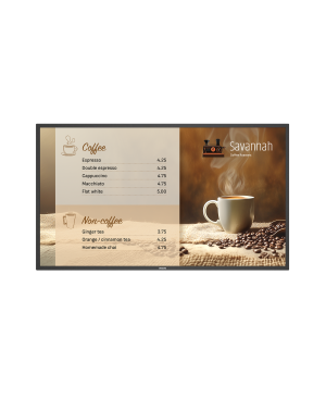 Philips P-Line 43BDL6017P/00 Digital Signage